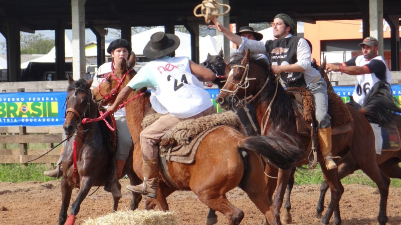 O que é o Horseball e como se joga?