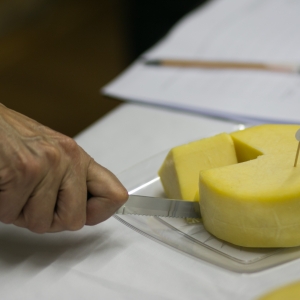 Concurso agroindustria familiar  (5)