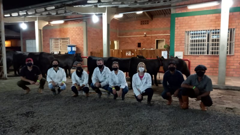 Chegada de animais de Urupema, Santa Catarina, no Parque Assis Brasil, em Esteio. Na foto, equipe da SEAPDR e tratadores 