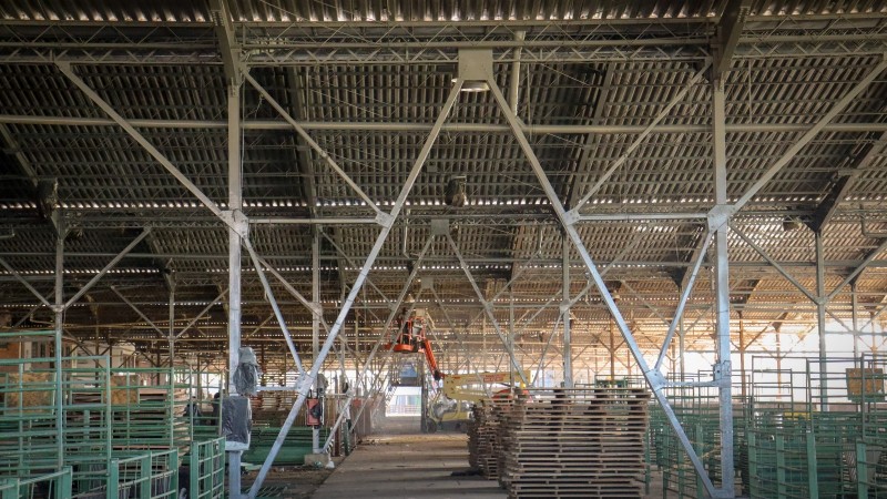 Melhorias no pavilhão dos bovinos e ovinos, o primeiro construído no Parque de Exposições Assis Brasil