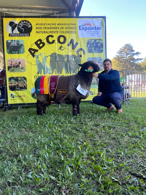 A foto mostra Pedro Pedroso com ovino premiado