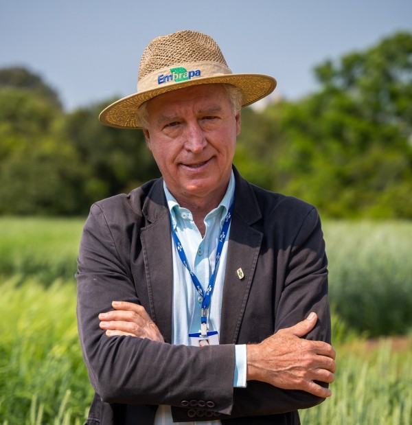 Jorge Lemainski, chefe geral da Embrapa Trigo