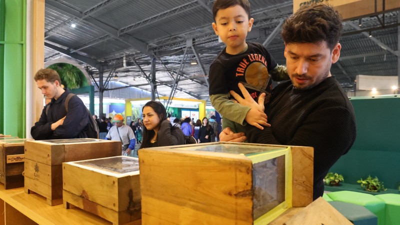 Foto mostra o pai com um menino no colo que olha com curiosidade para uma caixa de madeira onde est&atilde;o as abelhas. Ao fundo, o p&uacute;blico circula pelos estandes do Pavilh&atilde;o Internacional.