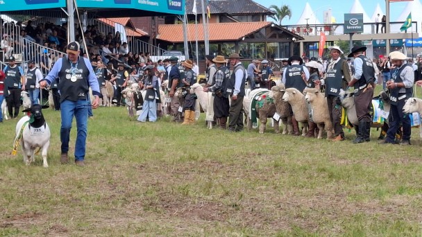 Desfile campeoes Fernando Dias set2026